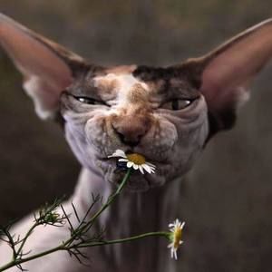 Meet your Posher, Michele